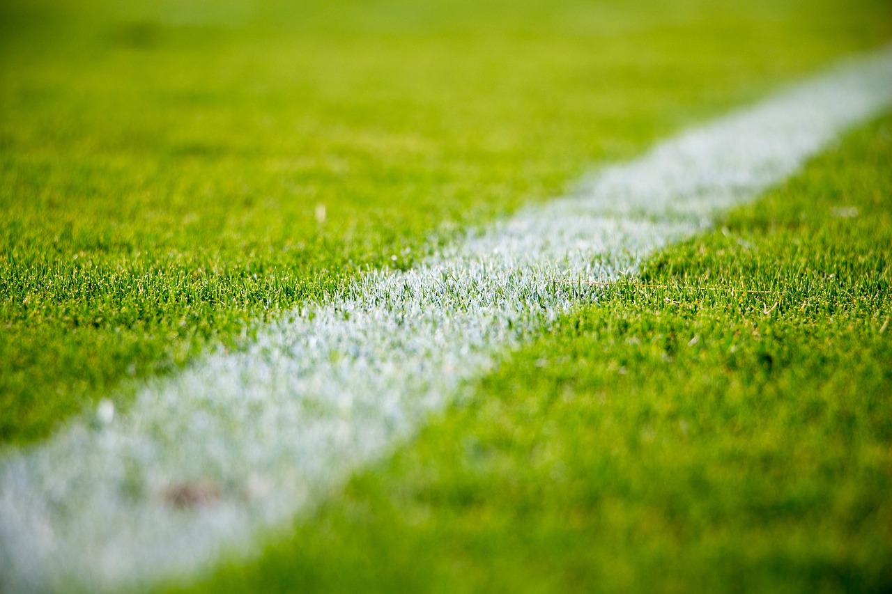 Stadium pitch