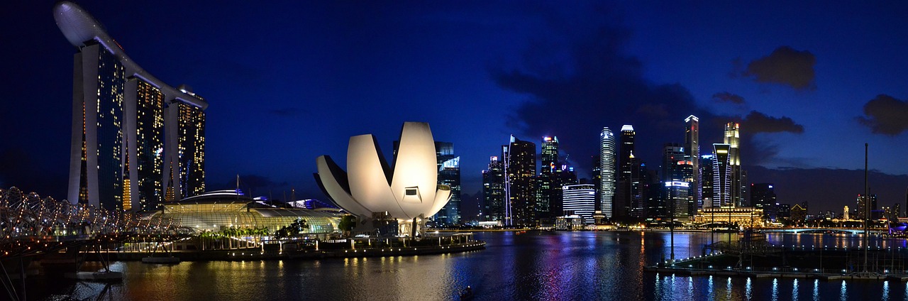 Singapore Elite Camp